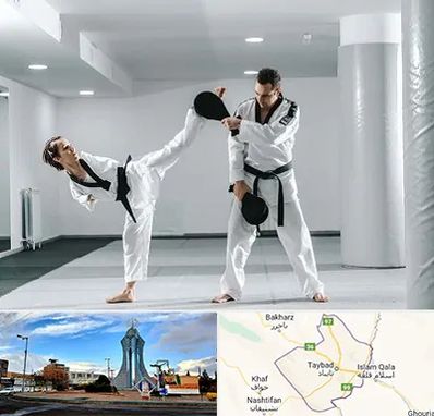 باشگاه رزمی در تایباد