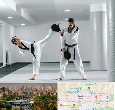 باشگاه رزمی در منطقه 1 تهران