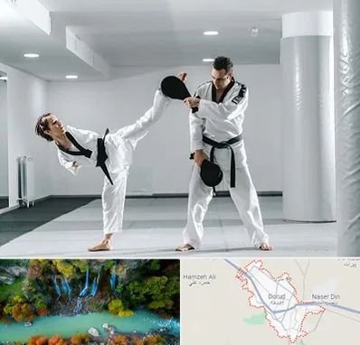 باشگاه رزمی در دورود