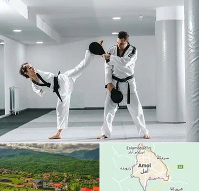 باشگاه رزمی در آمل