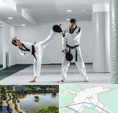 باشگاه رزمی در لنگرود