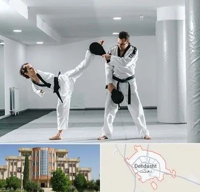 باشگاه رزمی در دهدشت