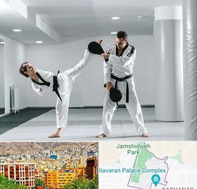 باشگاه رزمی در نیاوران 