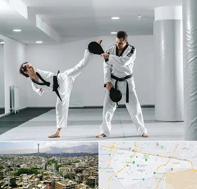 باشگاه رزمی در منطقه 8 تهران