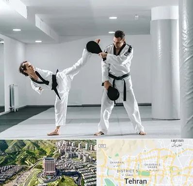 باشگاه رزمی در شمال تهران