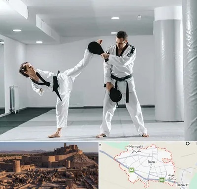 باشگاه رزمی در بم