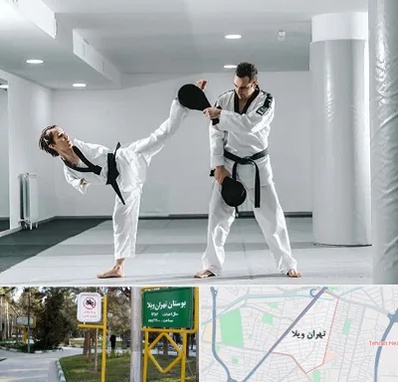 باشگاه رزمی در تهران ویلا