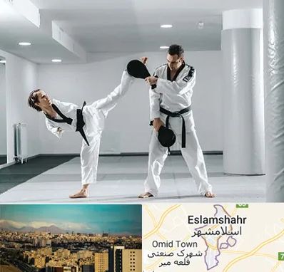 باشگاه رزمی در اسلامشهر