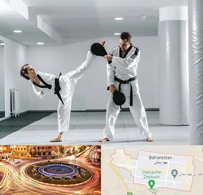 باشگاه رزمی در بهارستان