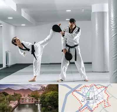 باشگاه رزمی در دامغان