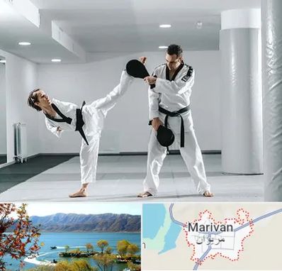 باشگاه رزمی در مریوان