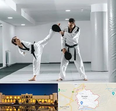 باشگاه رزمی در برازجان