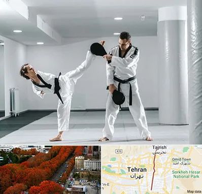 باشگاه رزمی در ولیعصر