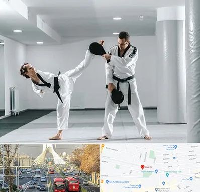 باشگاه رزمی در خیابان آزادی