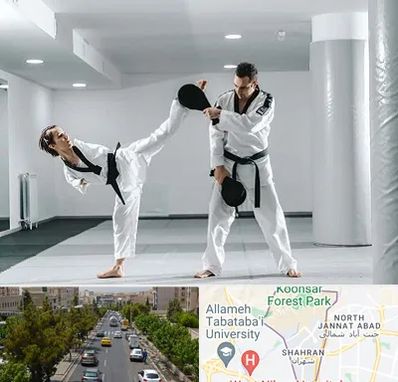 باشگاه رزمی در شهران 