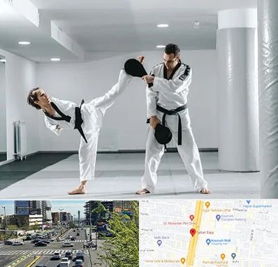 باشگاه رزمی در ستاری