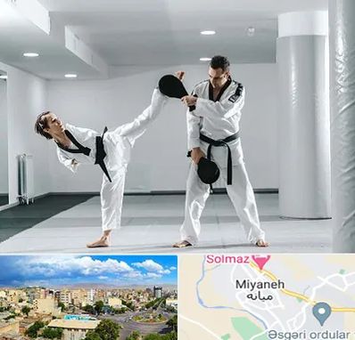 باشگاه رزمی در میانه