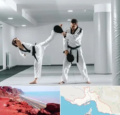 باشگاه رزمی در هرمزگان