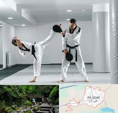 باشگاه رزمی در علی‌ آباد کتول