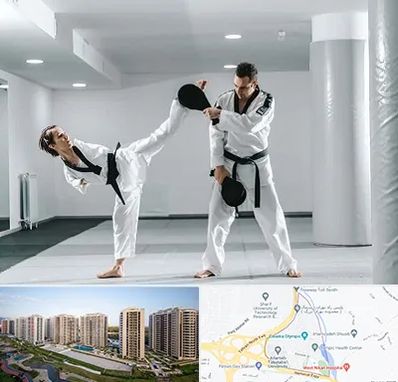 باشگاه رزمی در المپیک