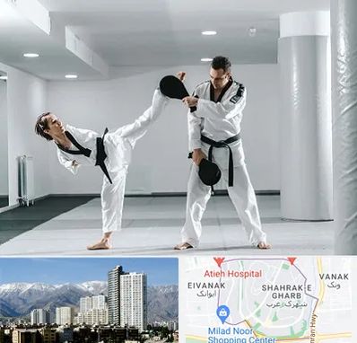 باشگاه رزمی در شهرک غرب 