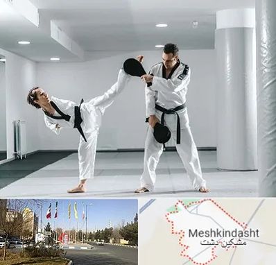 باشگاه رزمی در مشکین دشت