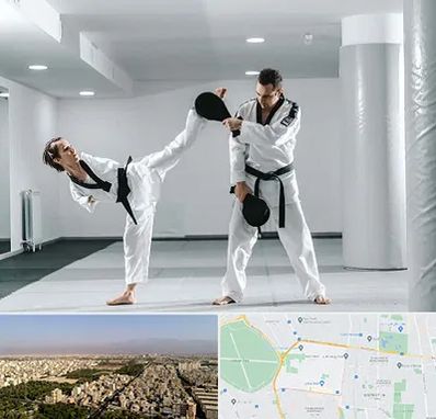 باشگاه رزمی در نازی آباد