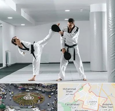 باشگاه رزمی در فردیس کرج