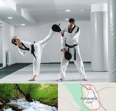 باشگاه رزمی در نهاوند
