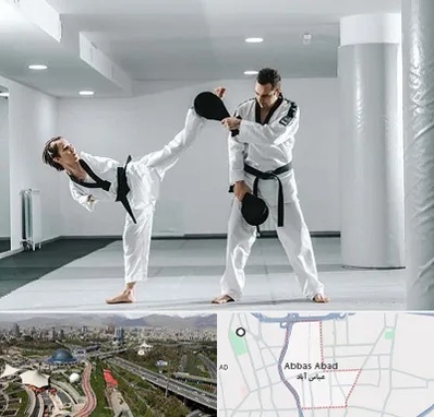 باشگاه رزمی در عباس آباد تهران