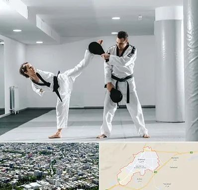 باشگاه رزمی در شاهرود