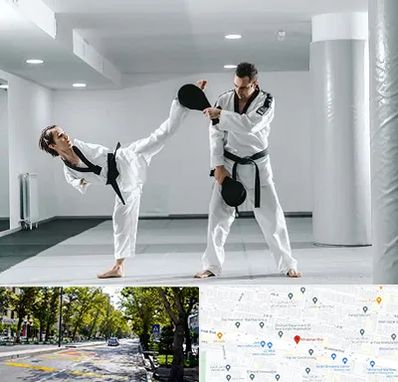 باشگاه رزمی در میرداماد