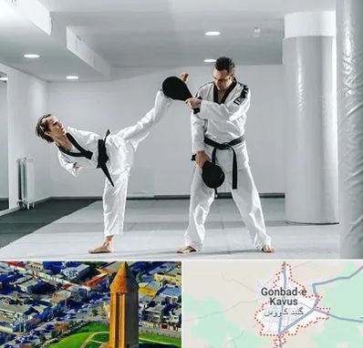 باشگاه رزمی در گنبد کاووس