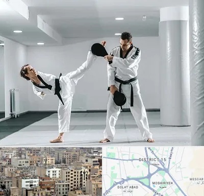 باشگاه رزمی در جنوب شرق تهران