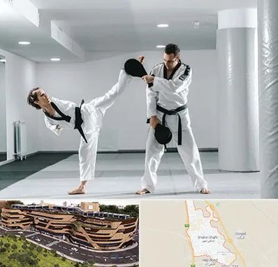 باشگاه رزمی در شاهین شهر