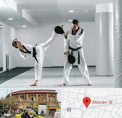 باشگاه رزمی در مولوی