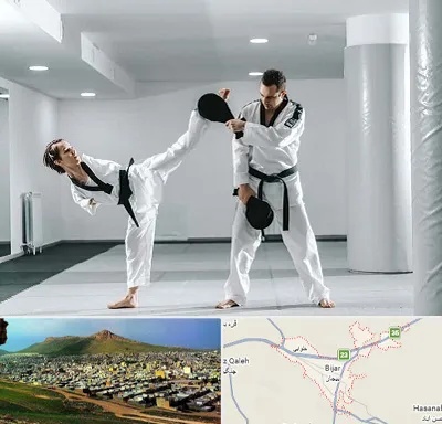 باشگاه رزمی در بیجار