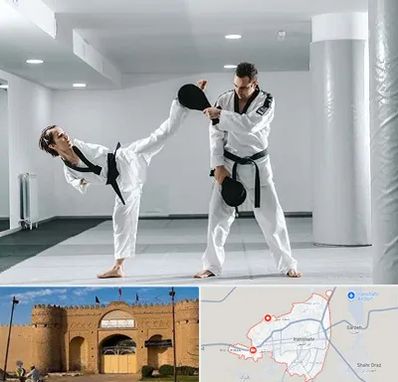 باشگاه رزمی در ایرانشهر