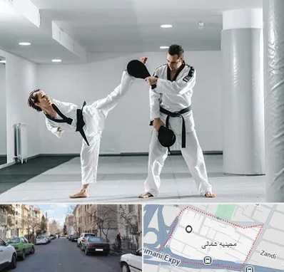 باشگاه رزمی در مجیدیه شمالی