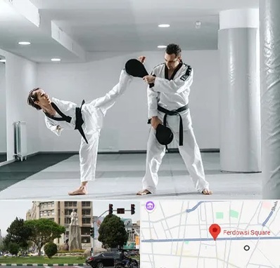 باشگاه رزمی در میدان فردوسی تهران