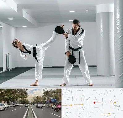 باشگاه رزمی در دولت