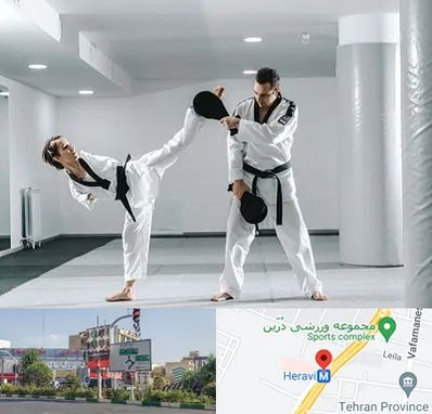 باشگاه رزمی در هروی