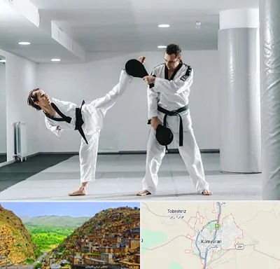 باشگاه رزمی در کامیاران