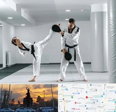 باشگاه رزمی در میدان حر