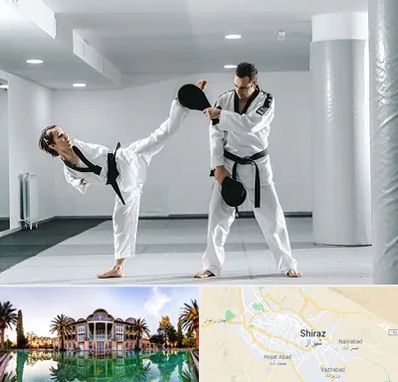 باشگاه رزمی در شیراز