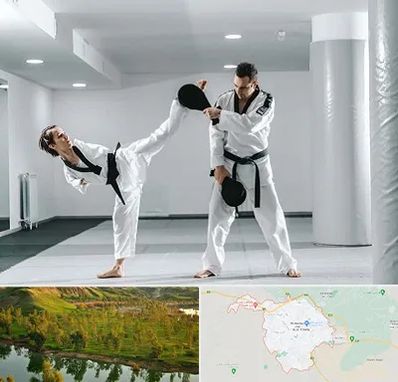 باشگاه رزمی در بهبهان