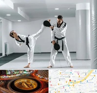 باشگاه رزمی در میدان ولیعصر