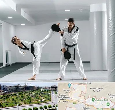 باشگاه رزمی در پردیس