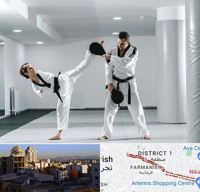 باشگاه رزمی در فرمانیه