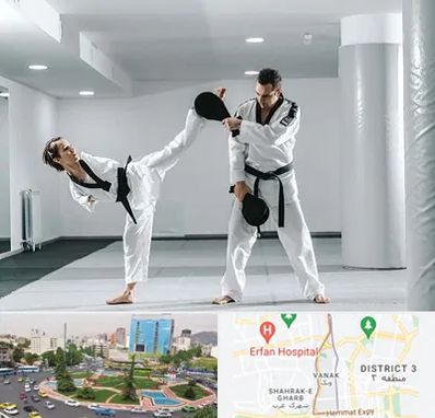 باشگاه رزمی در ونک 